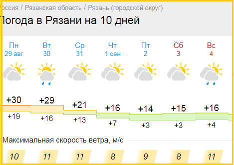 Последние дни лета выдались жаркими в Рязани