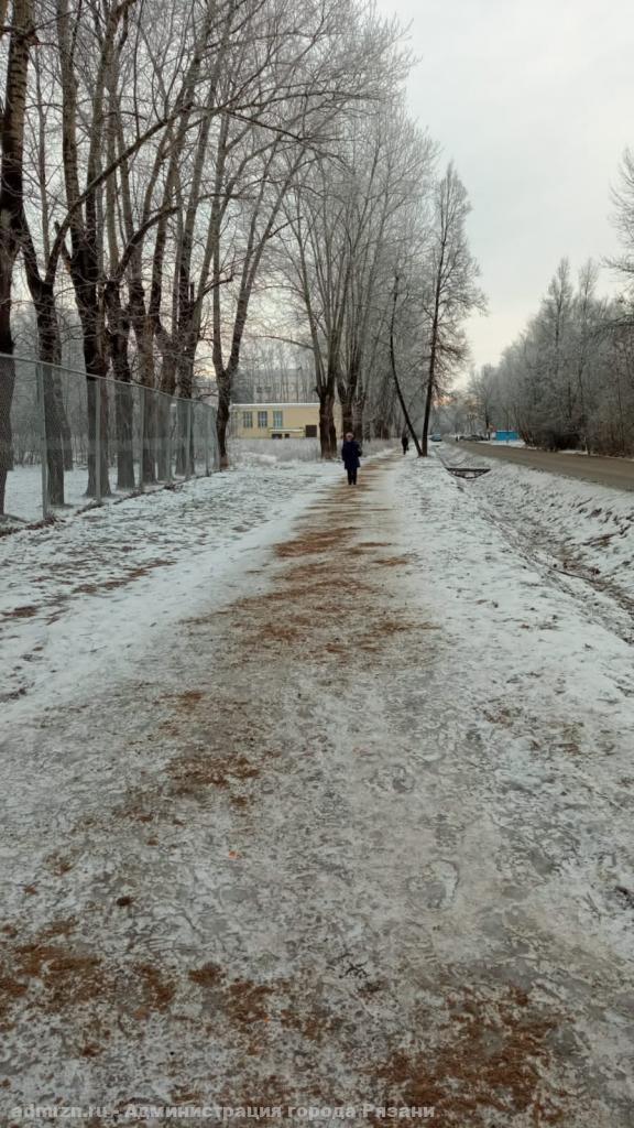 Сплошной гололёд на улицах в Рязани стал причиной возмущения жителей