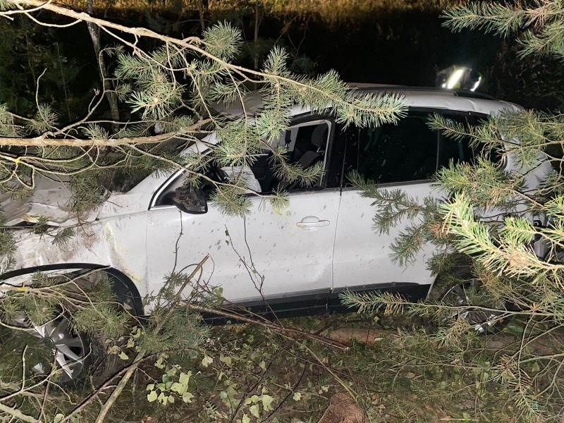 В Касимове под колеса авто попали двое подростков