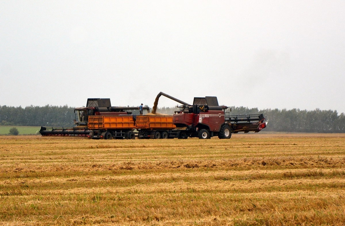Урожай на миллион: рязанские аграрии бьют рекорды по сбору зерновых