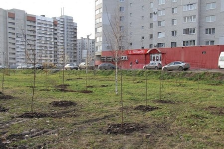 Недостоево рязань. Рязань Недостоево сельских Строителей. Рязань Недостоево сельских Строителей миграции. Детский сад 151 Рязань Недостоево.