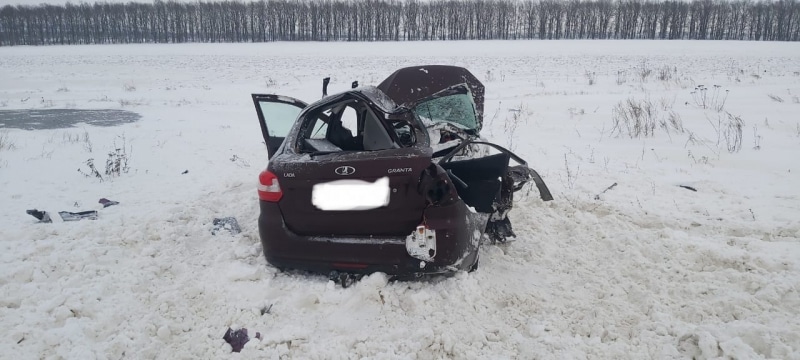 Под Рязанью в аварии с участием рейсового автобуса погибла семилетняя девочка