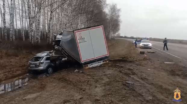Стали известны подробности трагедии на автодороге М-5 «Урал» под Рязанью