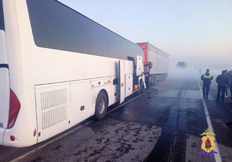 Рейсовый автобус и грузовик столкнулись под Рязанью сегодня около 4 утра