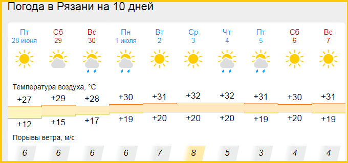 Жителям Рязани обещают жаркое начало июля