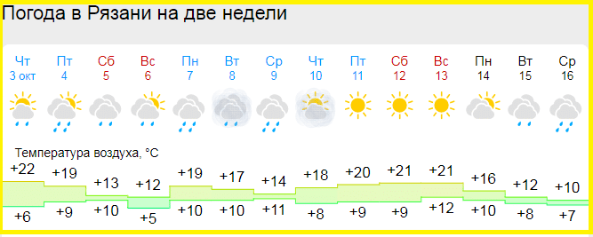 В Рязани сохраняется теплая и комфортная погода