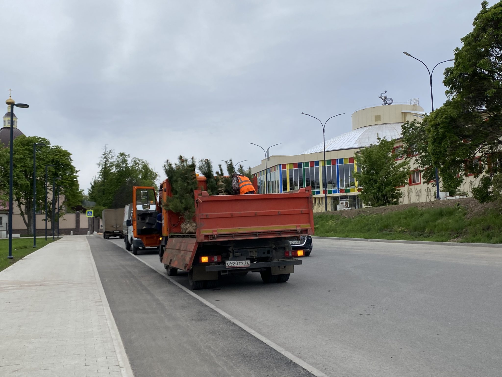 Новые деревья высадят в центре Рязани