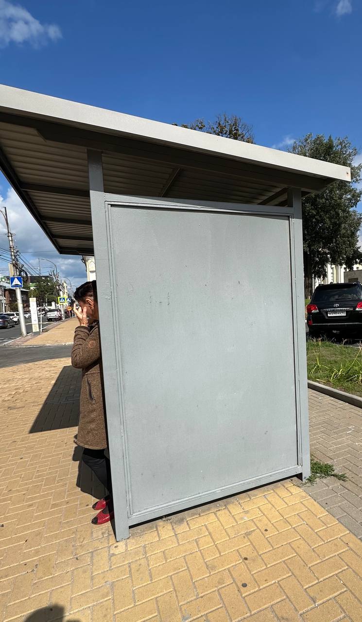Транспорт Рязани оценил зампред Общественного совета при Минтрансе РФ