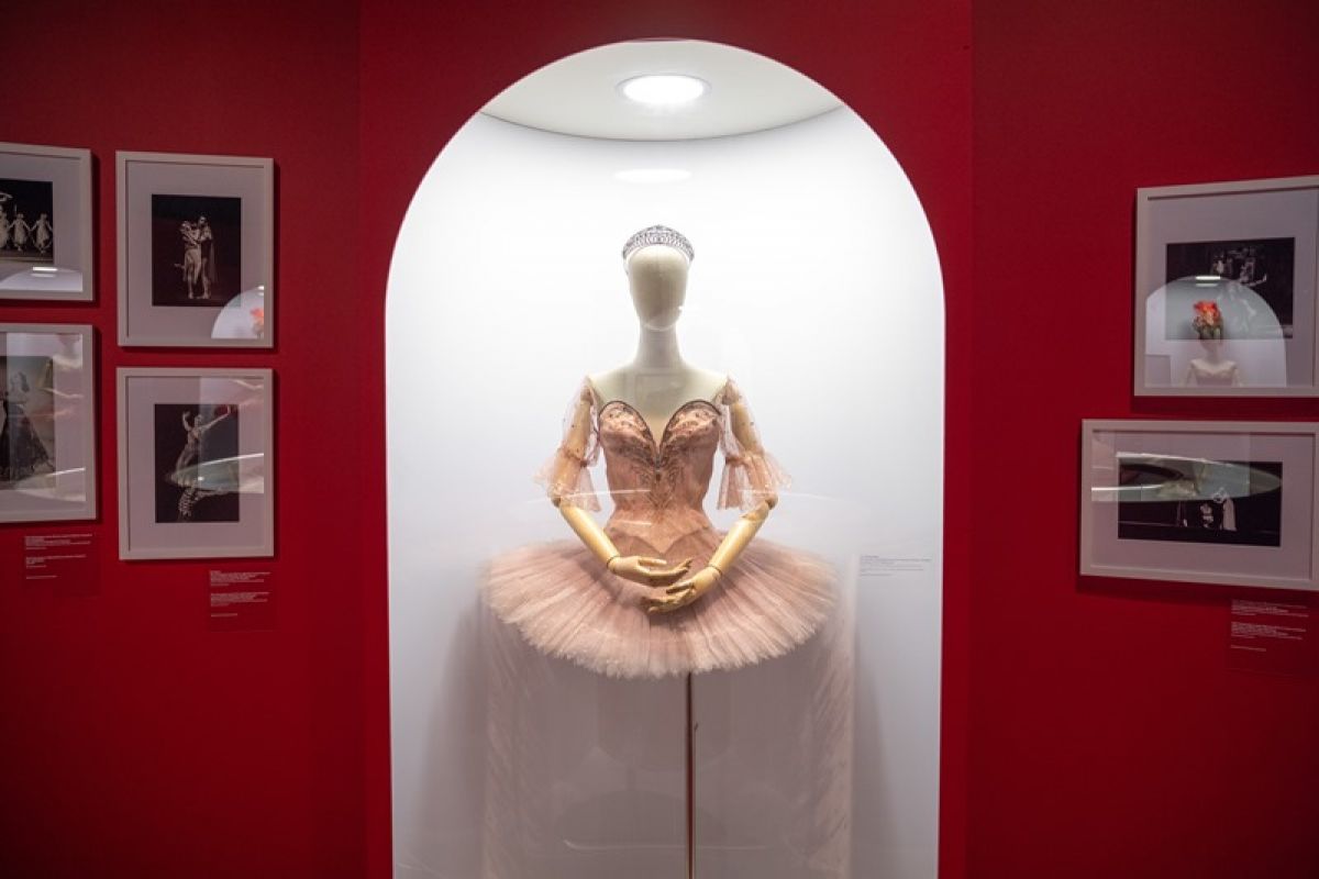 В Рязани открылась выставка, посвящённая Майе Плисецкой