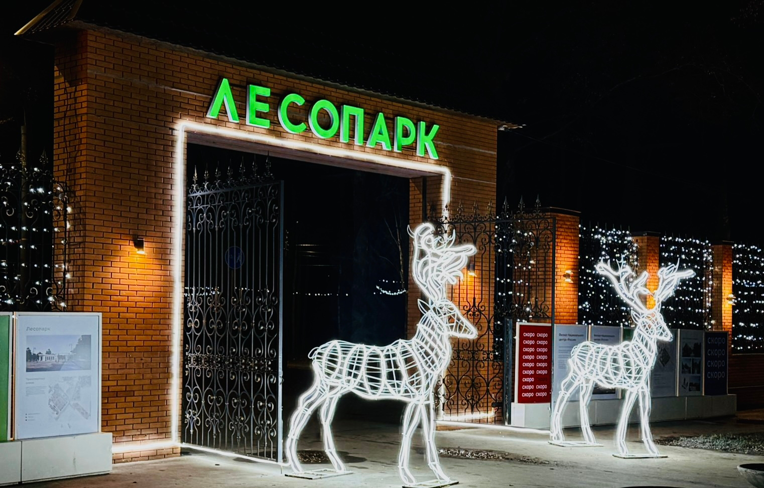 Рязанский Лесопарк украшают к Новому году