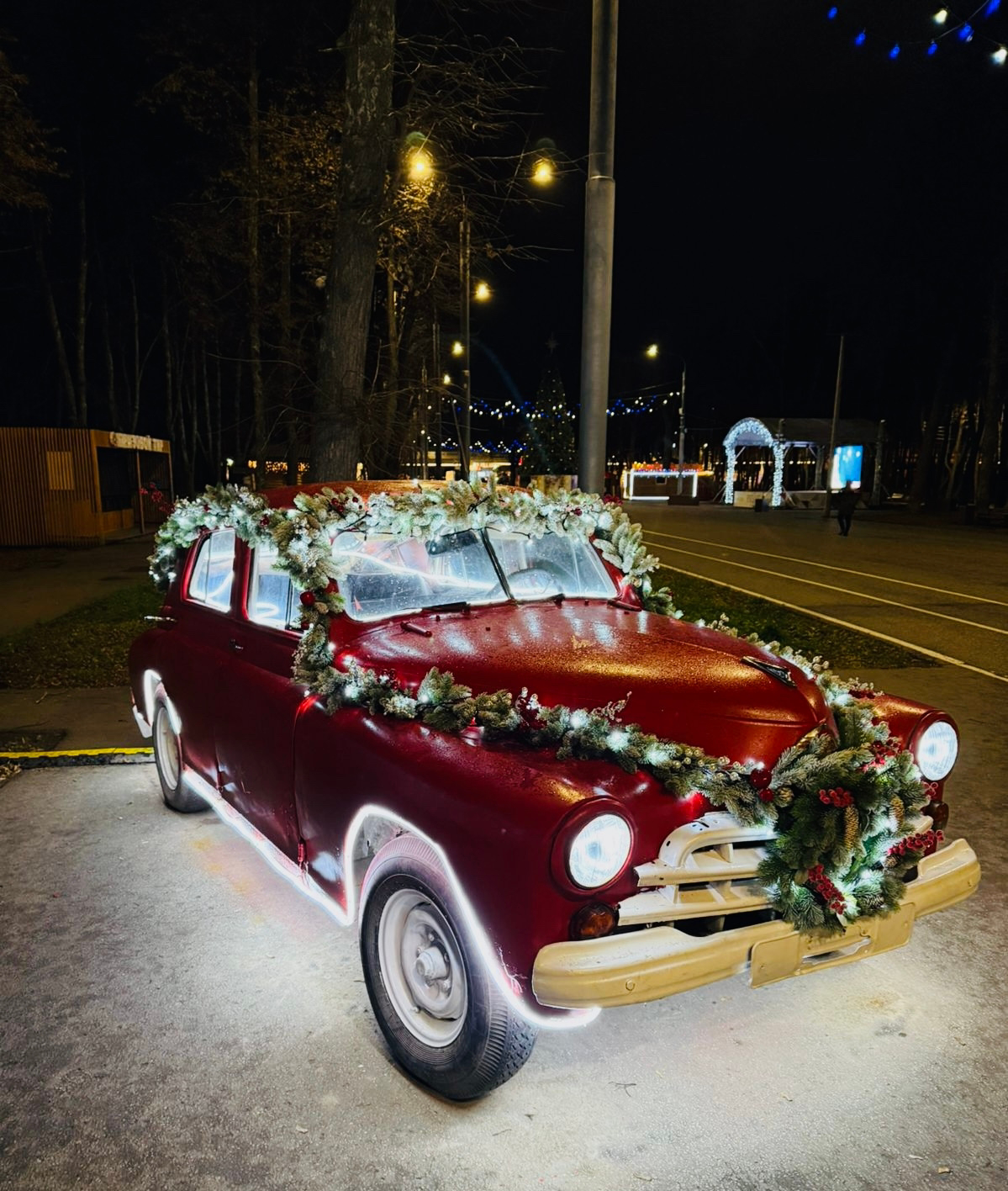 Рязанский Лесопарк украшают к Новому году