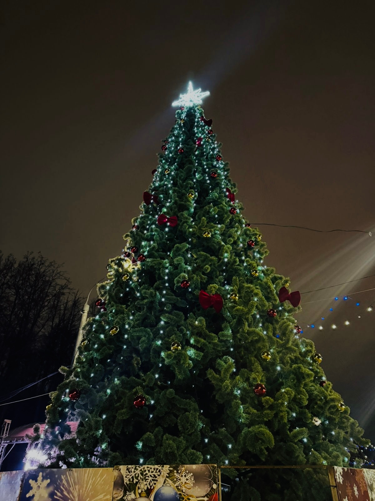 Рязанский Лесопарк украшают к Новому году