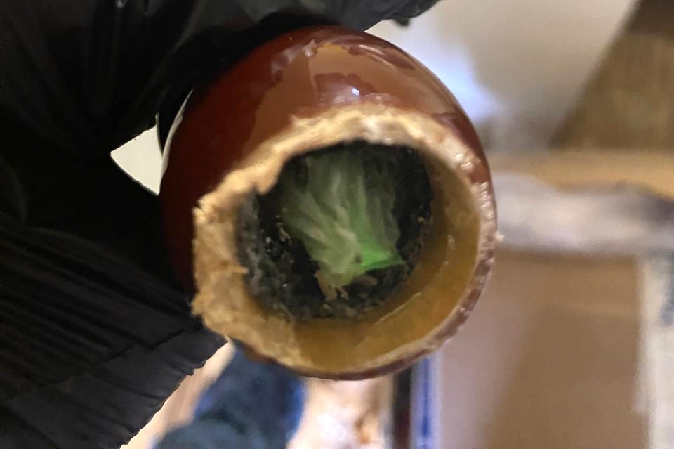 В рязанскую колонию пытались пронести наркотики