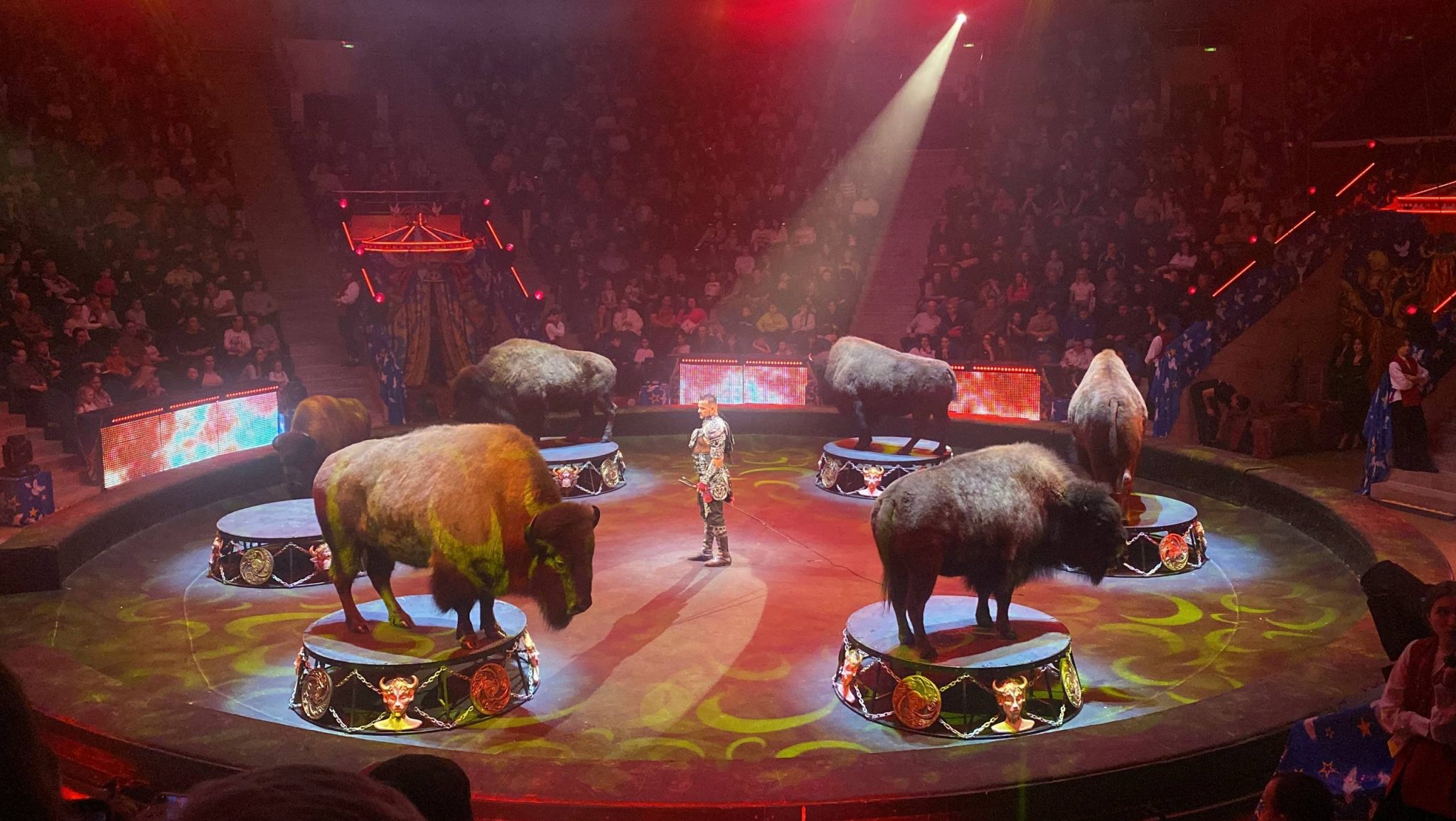 Триумф мастерства и буйство красок: шоу Гии Эрадзе "Пять континентов" покоряет Рязань