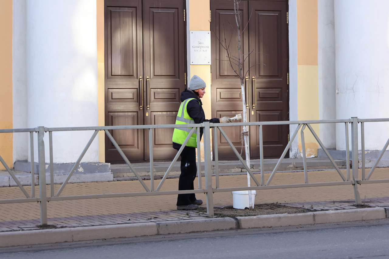 В Рязани начали белить деревья