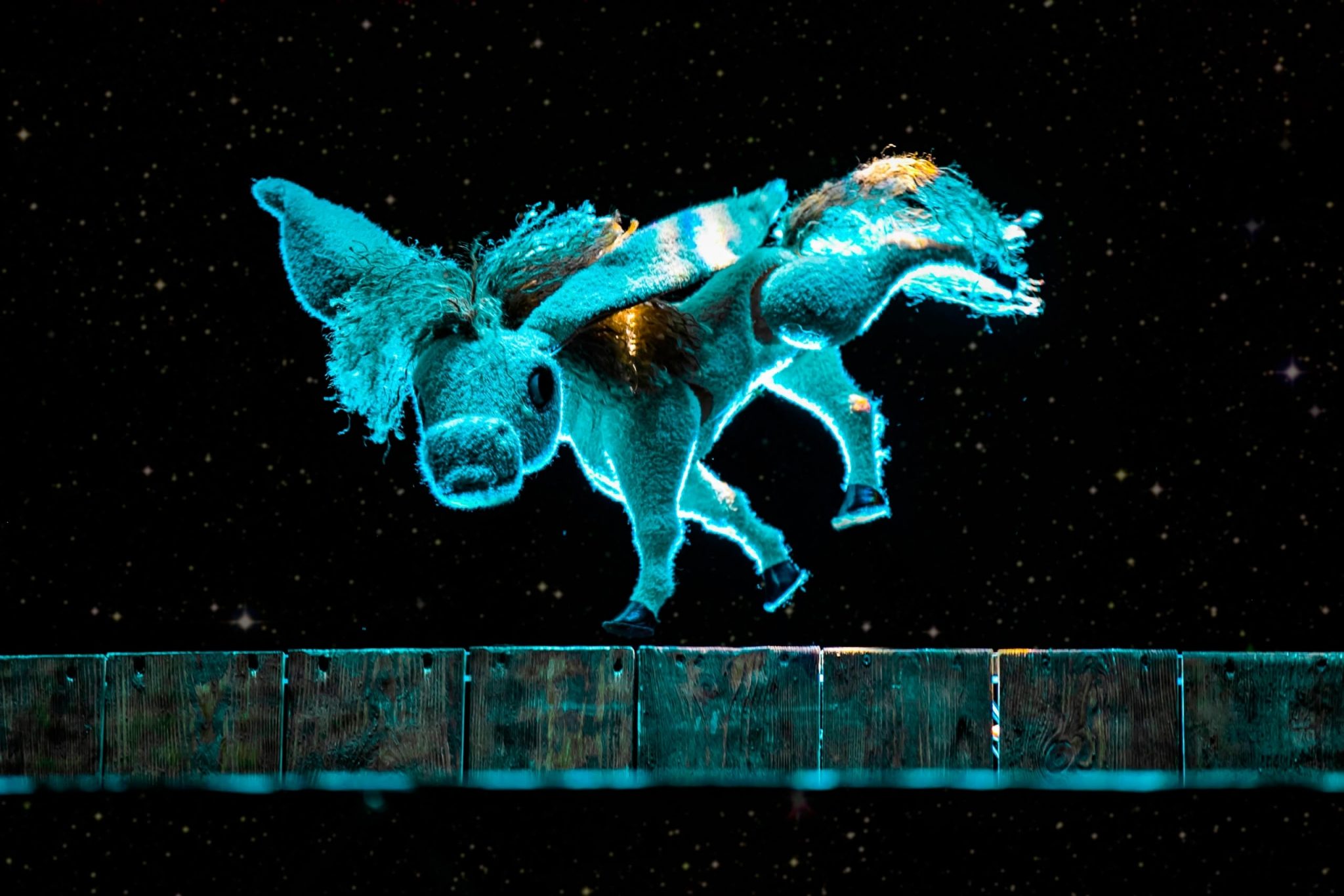 Рязанский театр кукол претендует на "Золотую Маску"