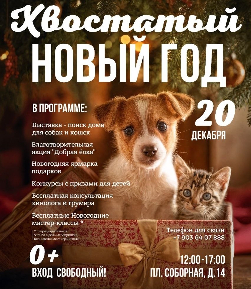 Рязанцев приглашают на "хвостатый" Новый год