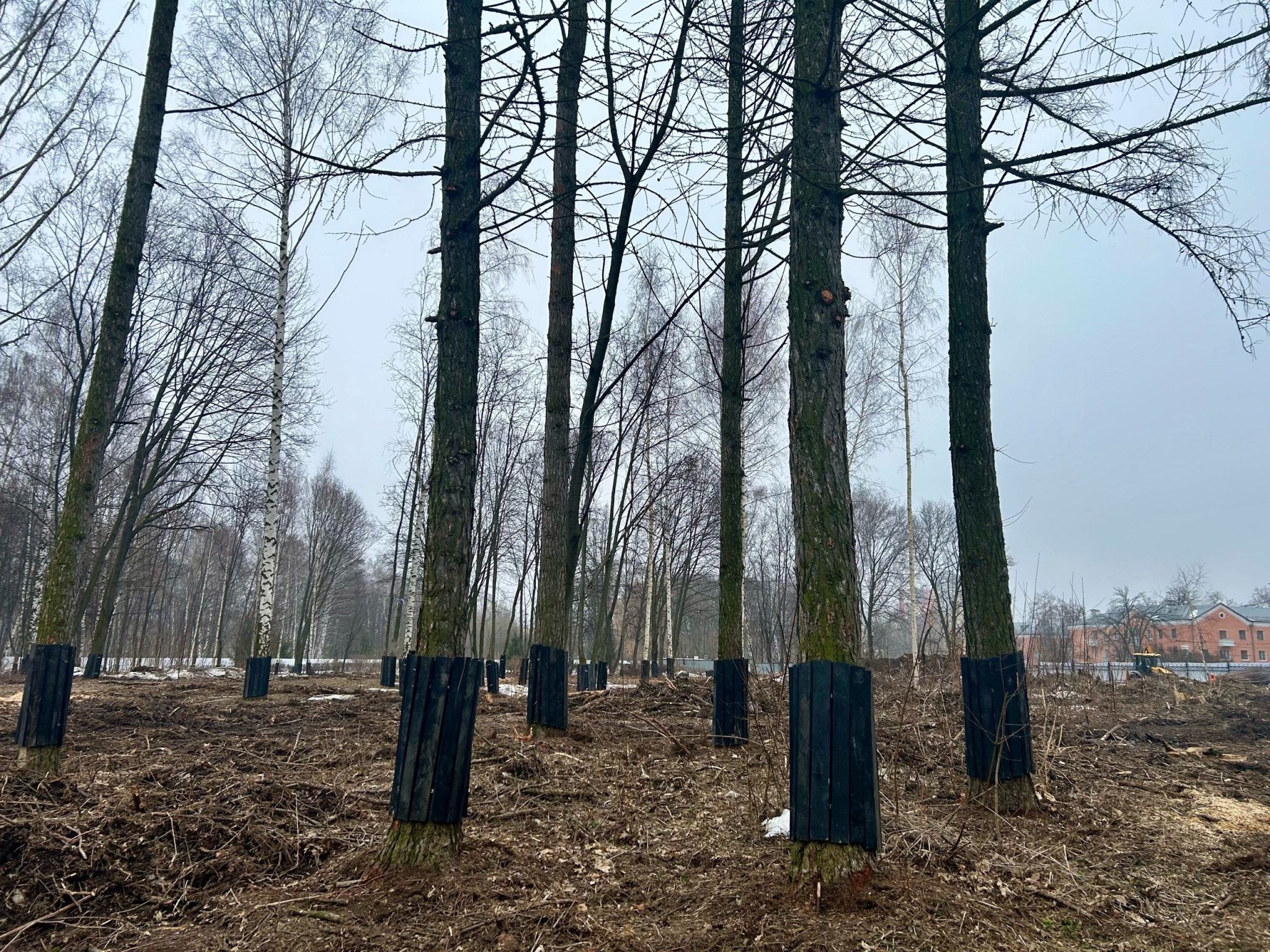 Мэр Рязани проверил работы в ЦПКиО и на улице Павлова