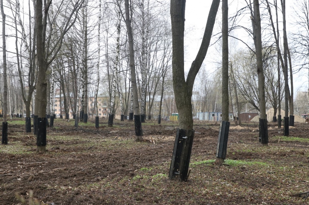 Депутаты гордумы проверили благоустройство в ЦПКиО