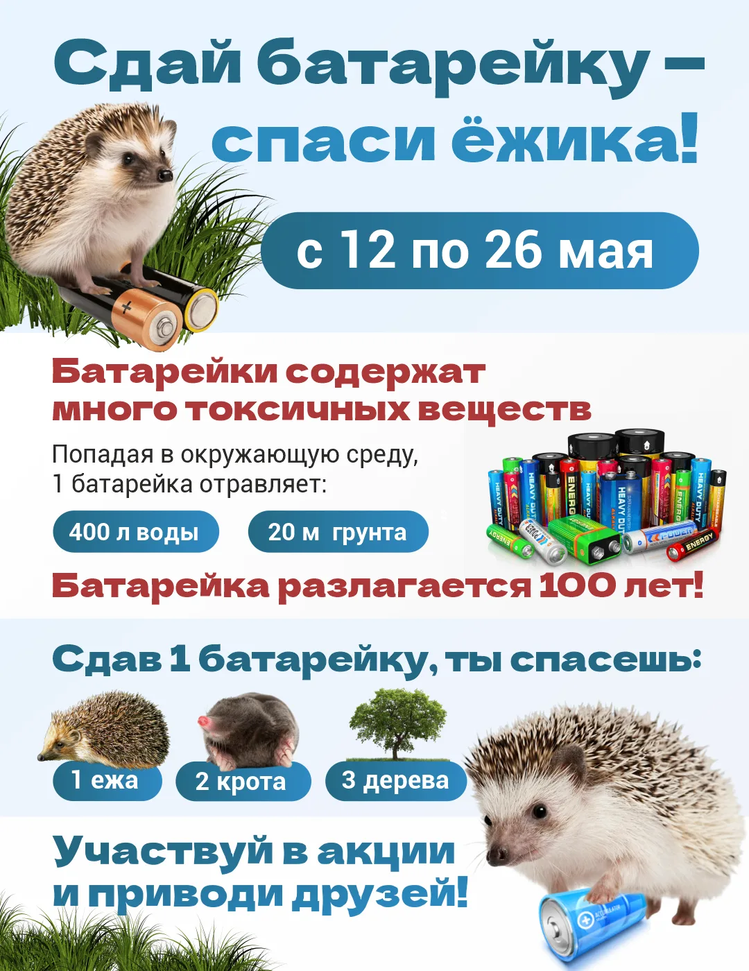 В Рязани проходит эко-акция "Сдай батарейку - спаси ёжика"