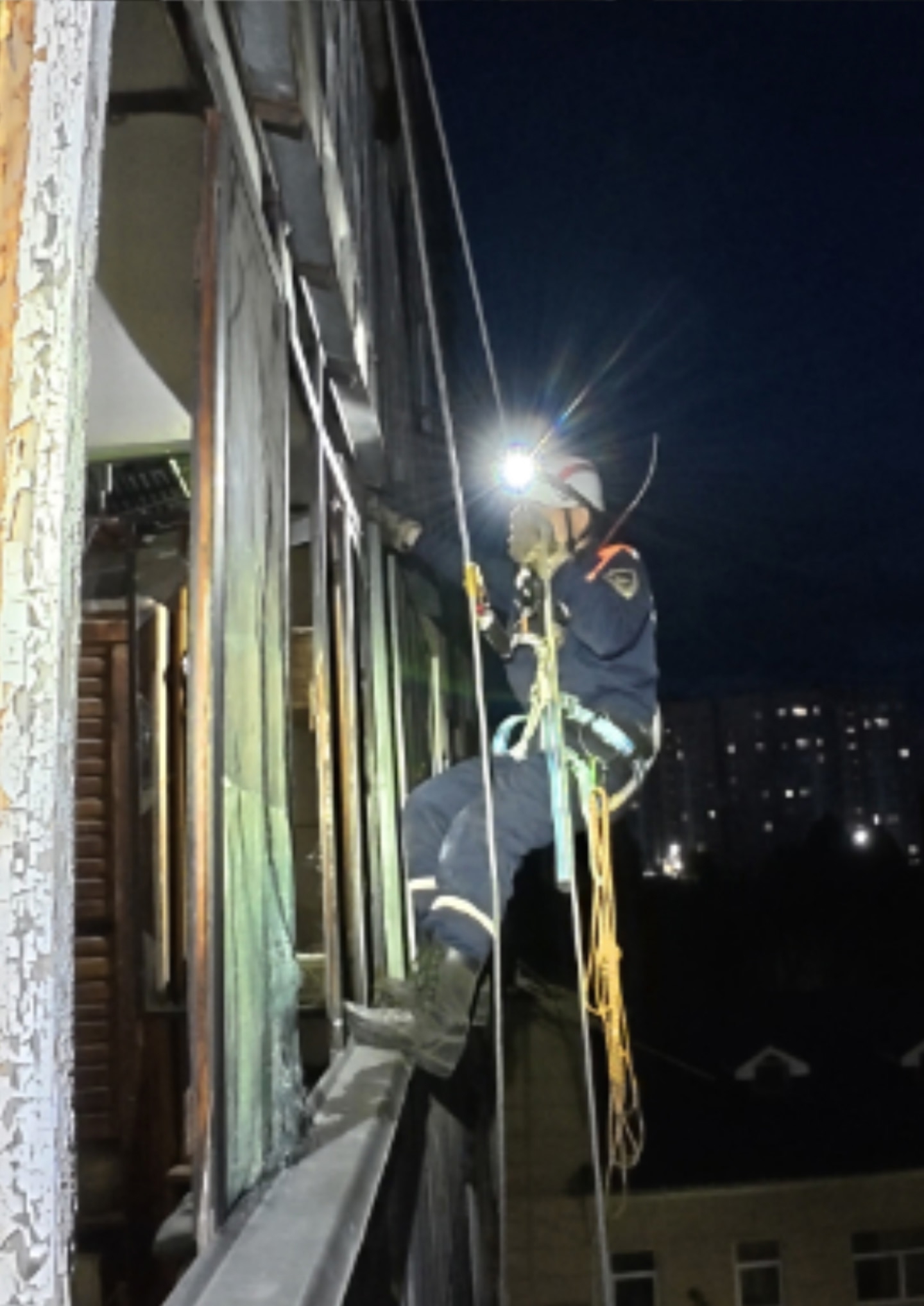 Из дома на Новосёлов спасли собаку погибших хозяев
