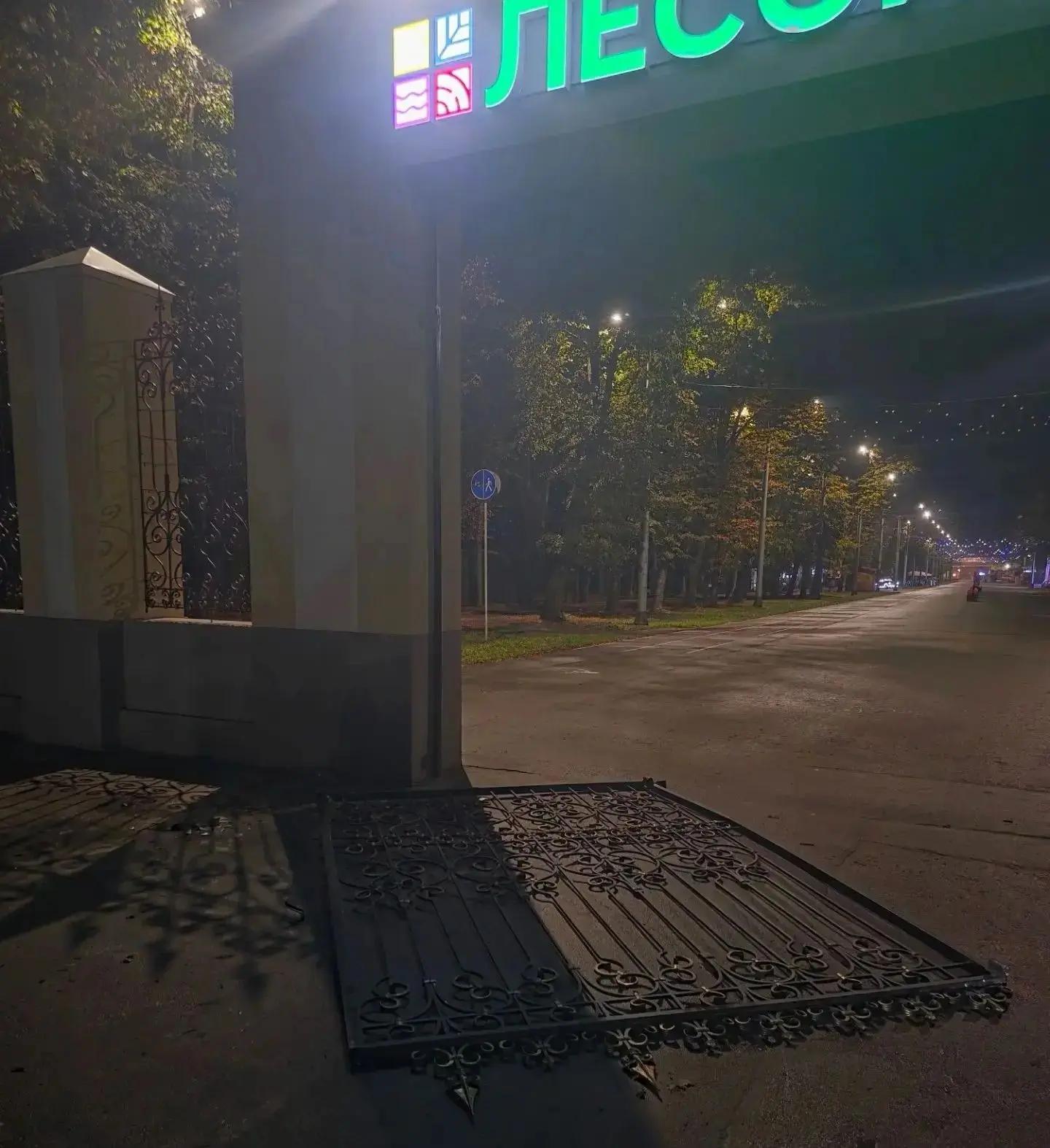 В Рязани сломали ворота в Лесопарке