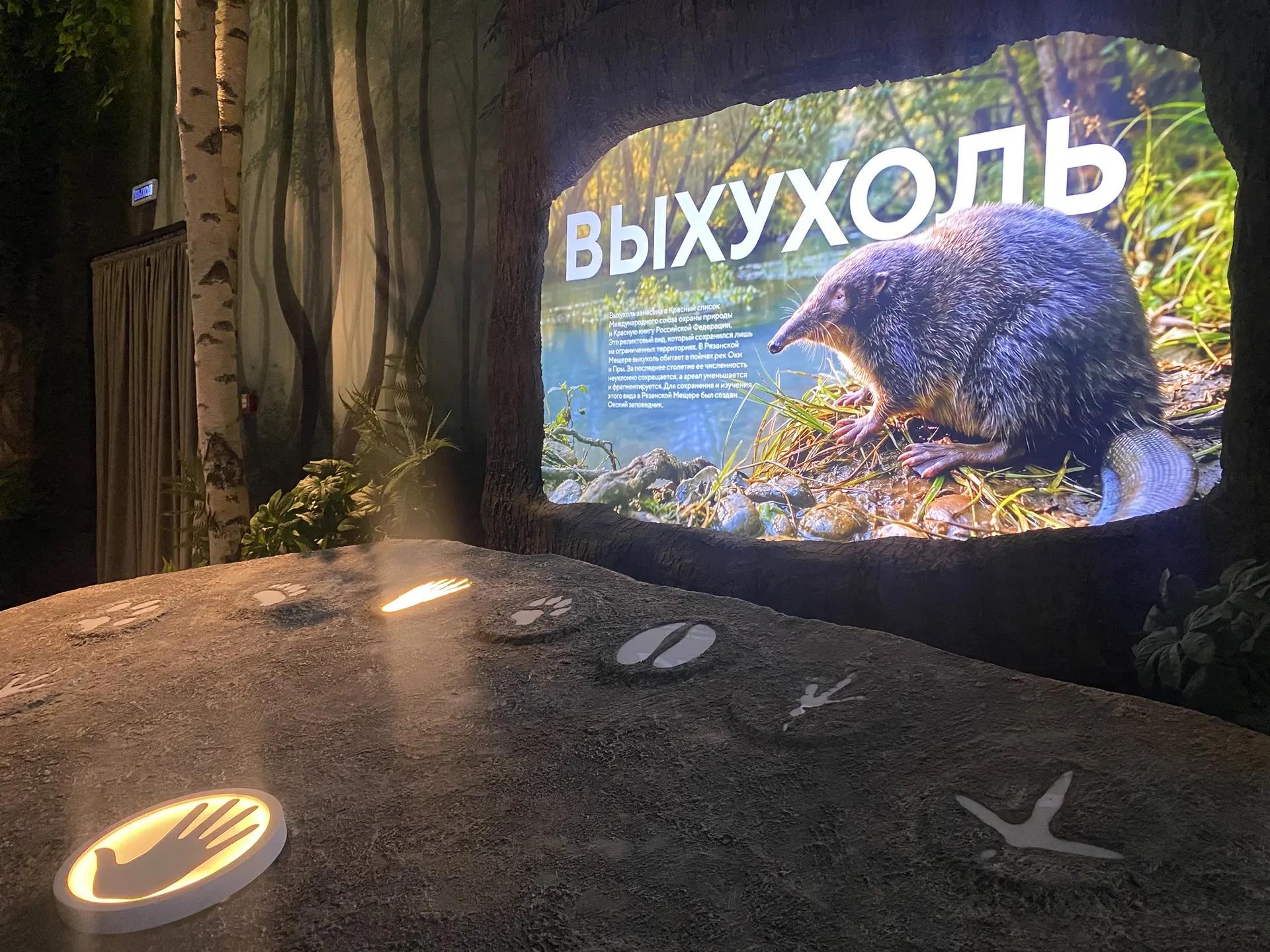 Фоторепортаж: НЦ "Россия" в Рязани